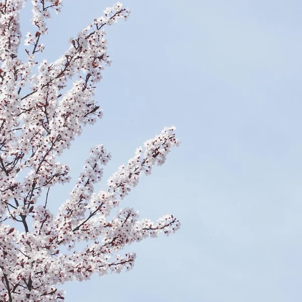 pg电子百家乐游戏